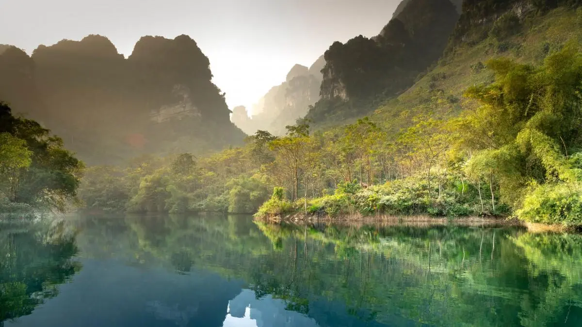 高效科技高性能